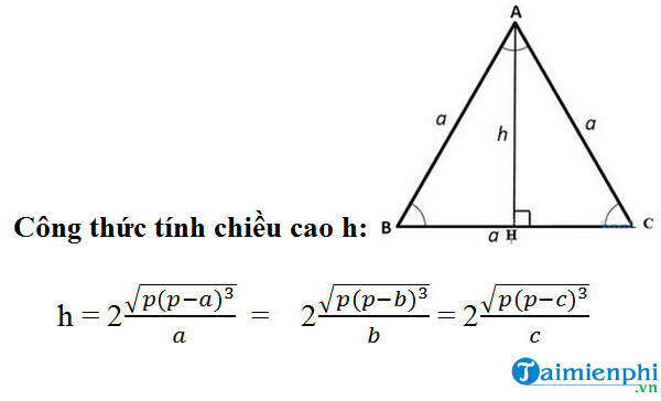 Cách tính đường cao trong tam giác đều Gallery 1