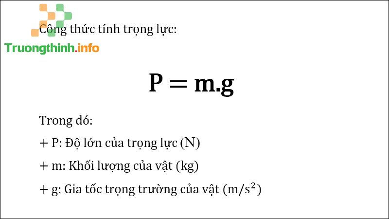 Công thức tính trọng lực lớp 8