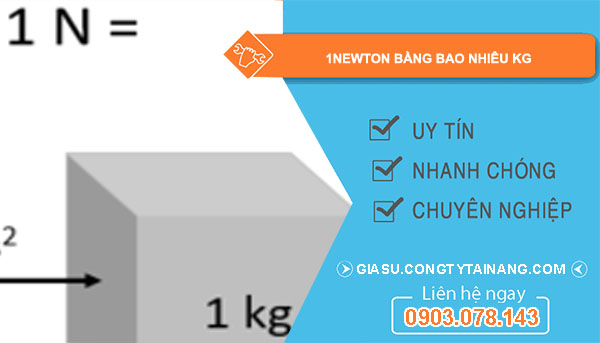 1 kg bằng bao nhiêu Newton? Gallery 2