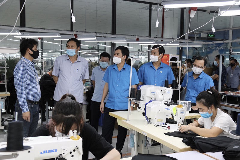 Công Ty Đan Mạch An Giang Tuyển Dụng - Cơ Hội Nghề Nghiệp Hấp Dẫn