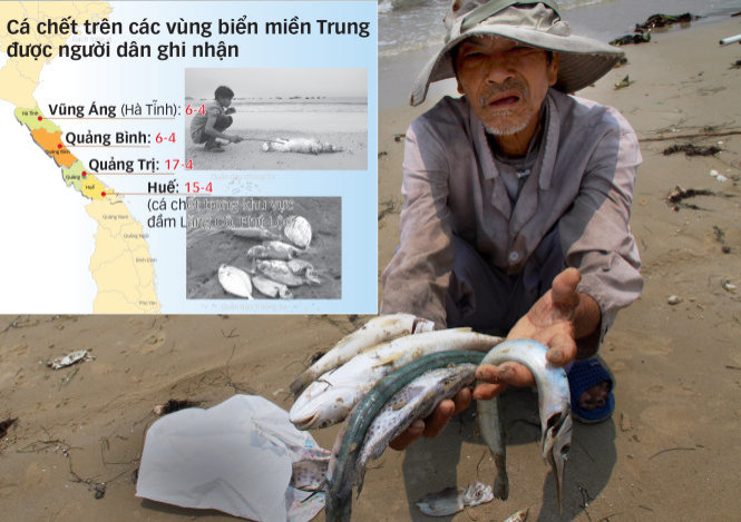 Công ty Formosa gây ô nhiễm môi trường