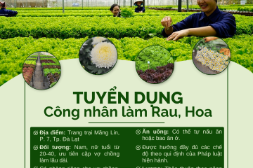 Công Ty Rau Sạch Đà Lạt Tuyển Dụng