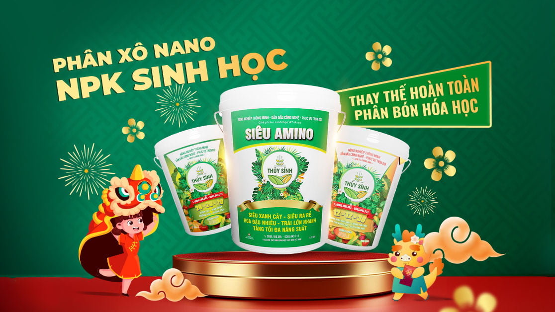 Công ty Thủy Sính - Nhà cung cấp giải pháp hàng đầu về [Sản phẩm/dịch vụ chính của công ty]
