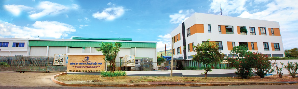 Công ty TNHH Cá Ngừ Việt Nam - Chuyên gia trong lĩnh vực chế biến và xuất khẩu cá ngừ