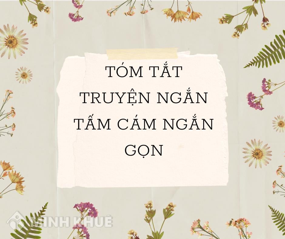 Cốt Truyện Tấm Cám Ngắn Gọn Gallery 2