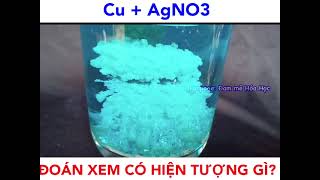 Phản ứng Cu + AgNO3: Hiện tượng và Giải thích