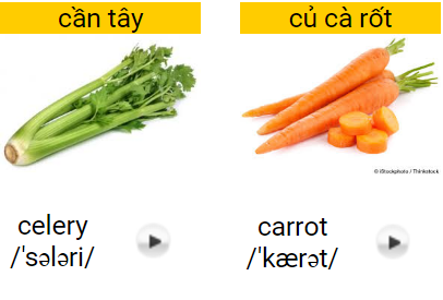 What is Carrot in English? Gallery 2