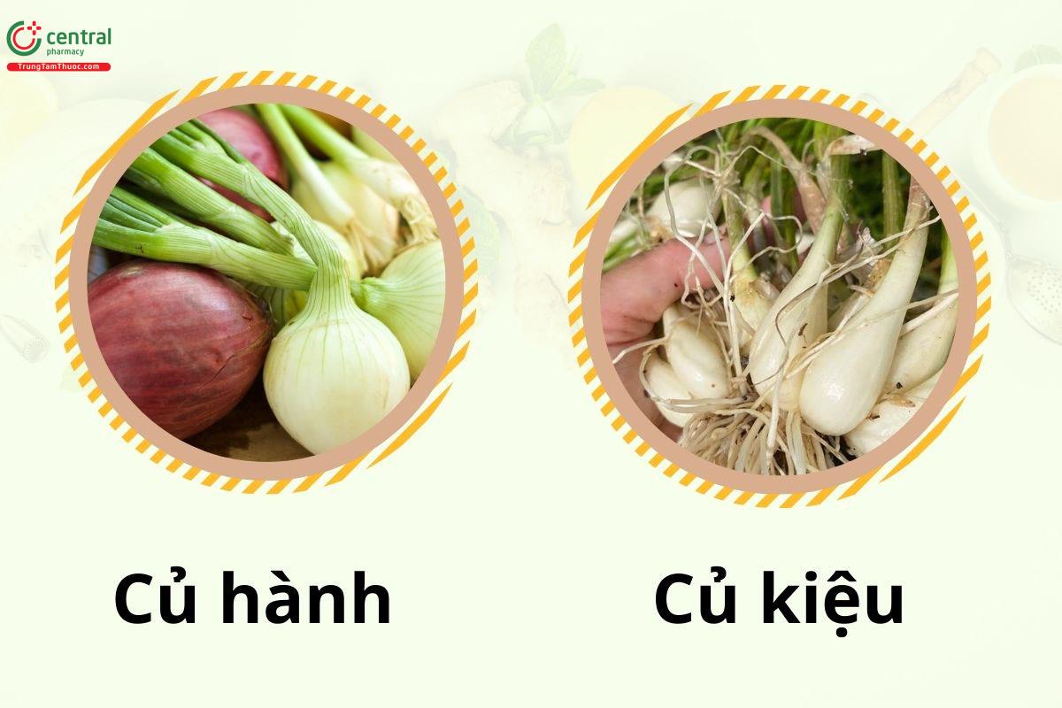 Củ Kiệu Là Gì?