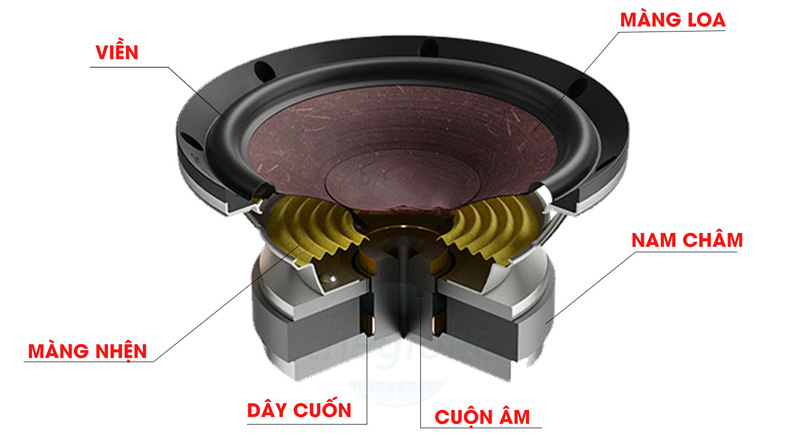 Bộ phận chính của loa điện là gì? Gallery 1