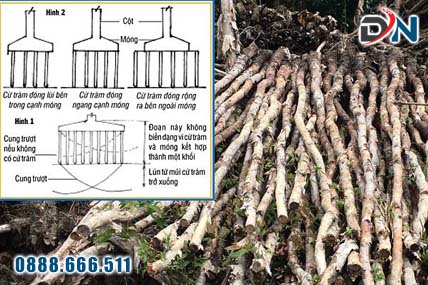 Cừ Tràm Là Gì?