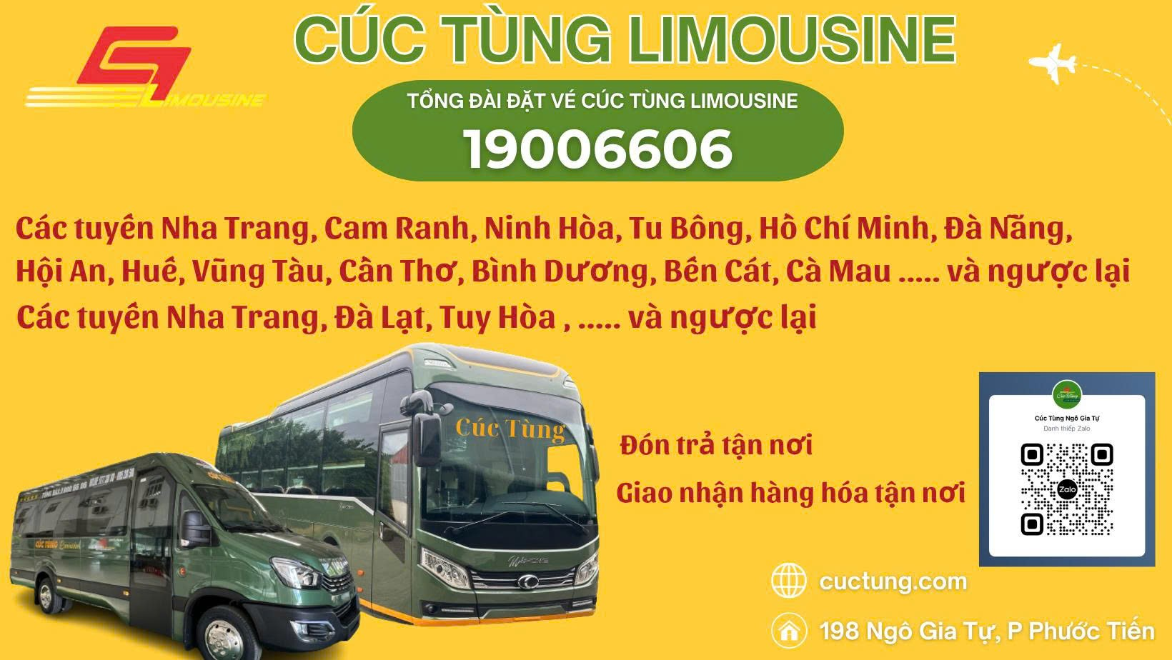 Cúc Tùng Nha Trang