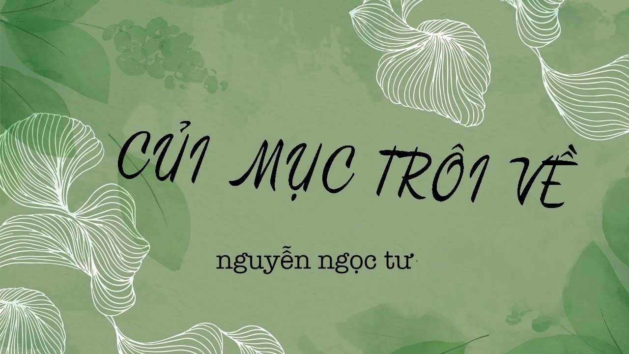 Củi mục trôi về