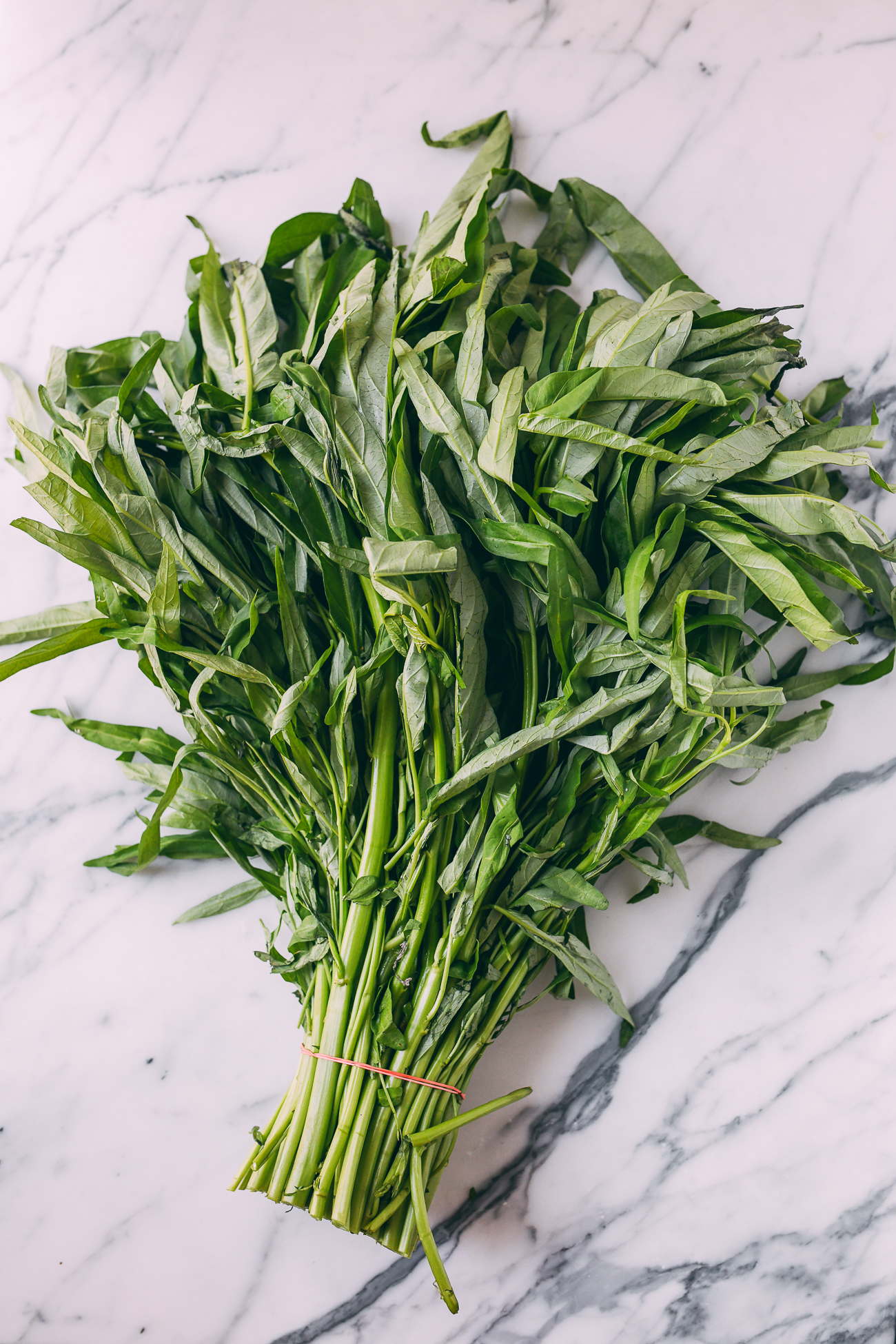 What is Water Spinach in English? Gallery 2