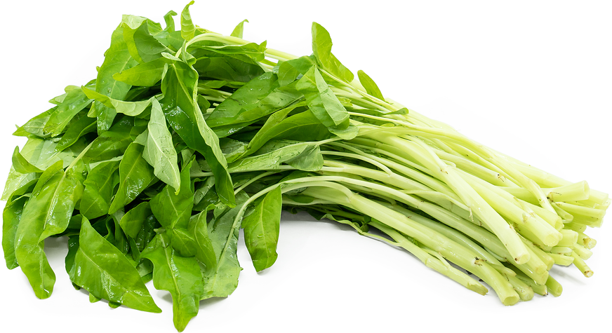 What is Water Spinach in English? Gallery 1