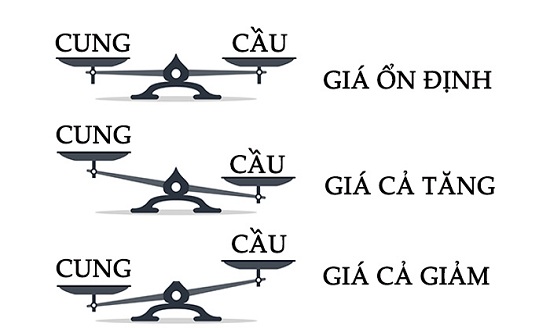 Cung và Cầu là gì? Gallery 2