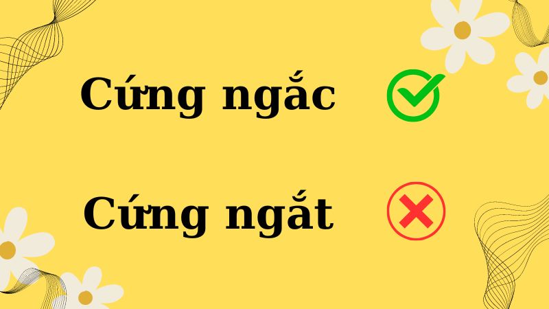 Cứng Ngắc Là Gì?