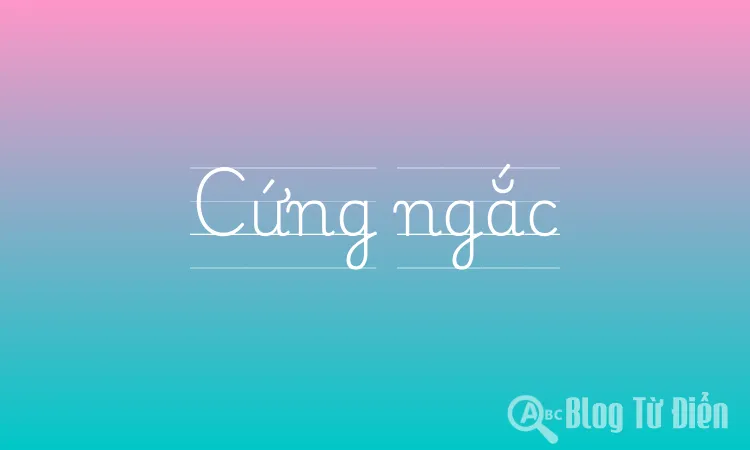 Cứng Ngắc Là Gì? Gallery 1