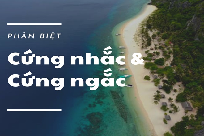 Cứng Ngắc Là Gì? Gallery 2