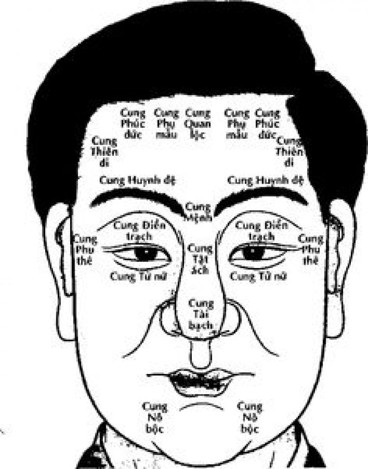 Cung Nô Bộc Trên Mặt