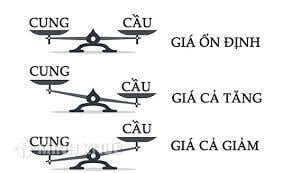 Cung và Cầu là gì?