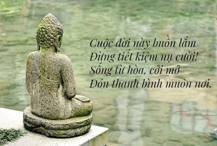 Cuộc Đời Này Ngắn Lắm Gallery 2