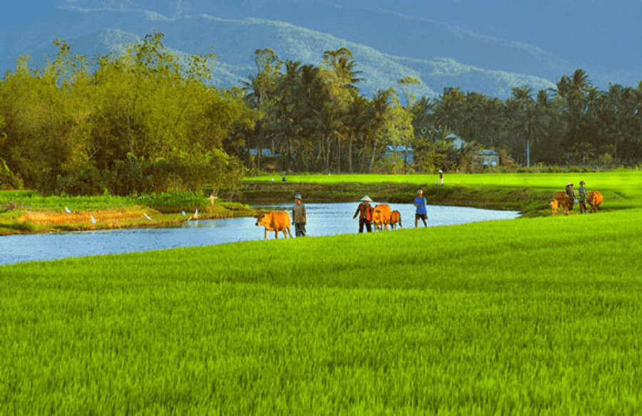 Tả cảnh đẹp ở quê em Gallery 2