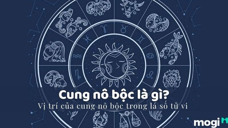 Cung Nô Bộc Là Gì? Gallery 2