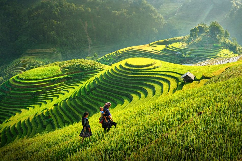 Nắng đã lên rồi dậy lên nương Gallery 2