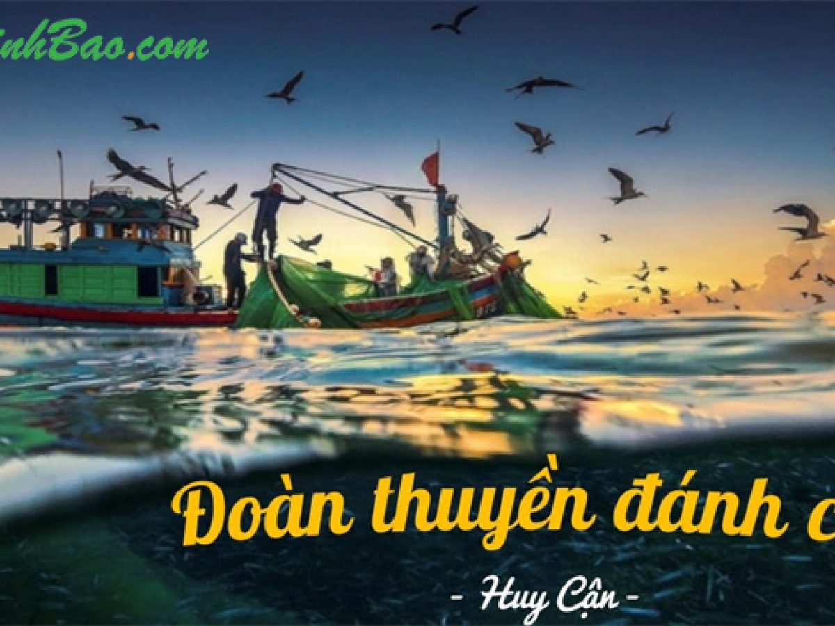 Cuộc Sống Biển Khơi Của Đoàn Thuyền Đánh Cá Gallery 2