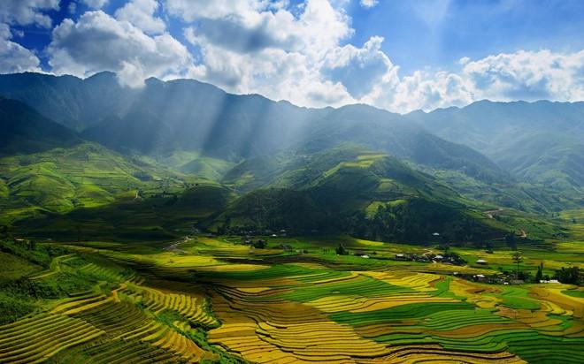 Cuộc sống tự nhiên là gì?