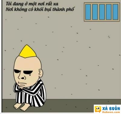 Tôi Đang Ở Nơi Rất Xa, Nơi Không Có Khói Bụi Thành Phố Gallery 2