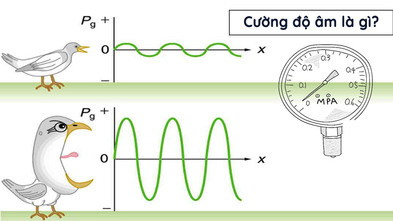 Cường độ âm là năng lượng âm