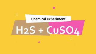 Phương trình ion của CuSO4 + H2S