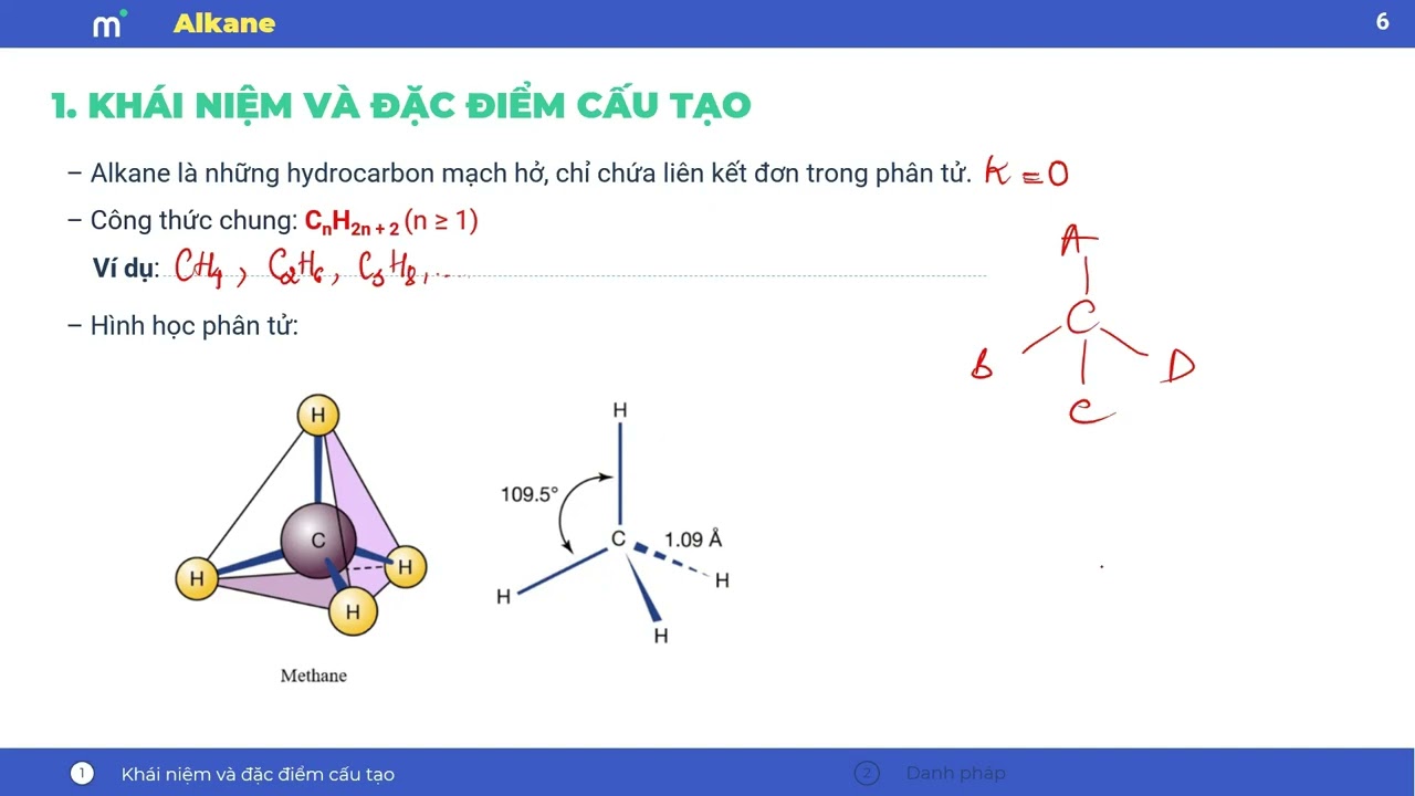 Đặc Điểm Cấu Tạo