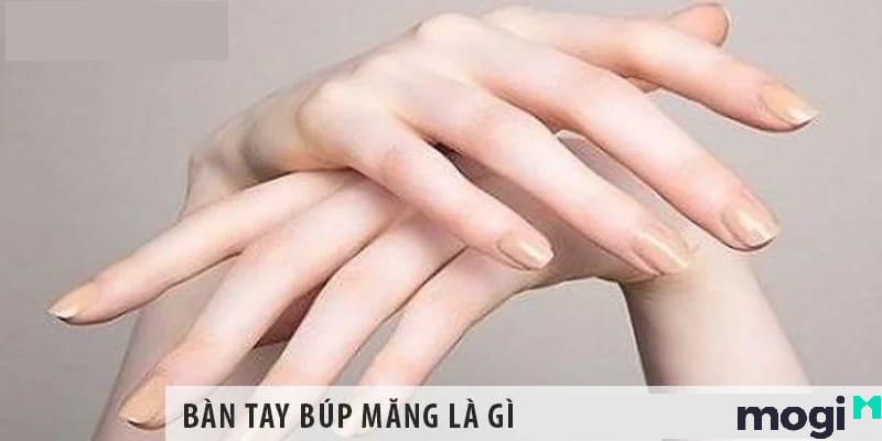 Tay Búp Măng Là Gì? Gallery 1