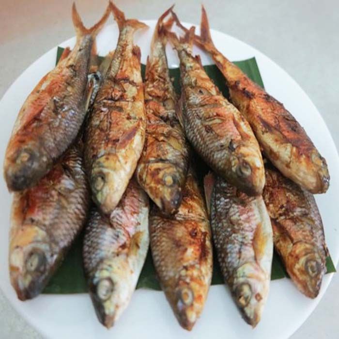 Cá Mát Sông Giăng: Đặc điểm, giá trị và cách chế biến Gallery 1
