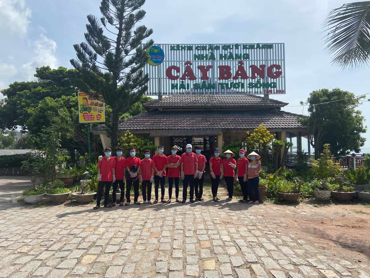Cây Bàng Phan Thiết: Thông tin chi tiết và vẻ đẹp ấn tượng Gallery 1