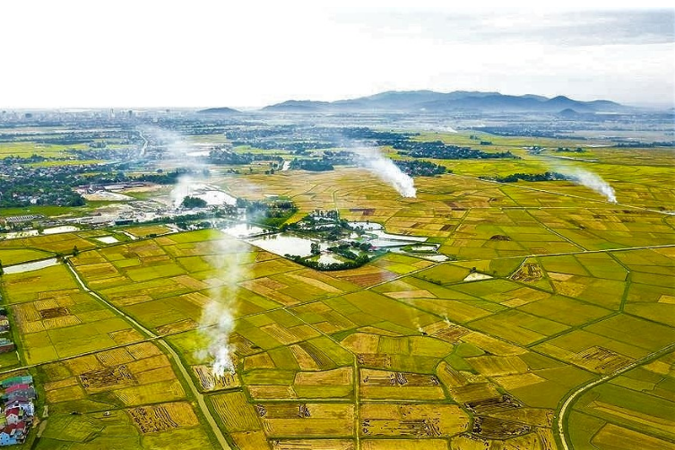Châu Thổ Là Gì? Gallery 1