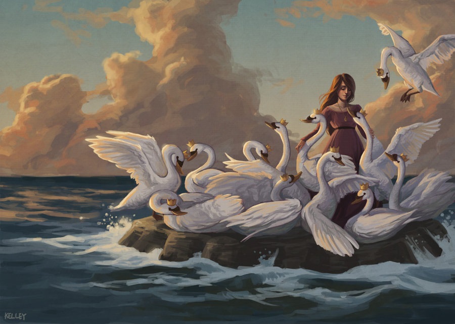Bầy Chim Thiên Nga: Sự quyến rũ và vẻ đẹp thanh lịch Gallery 1