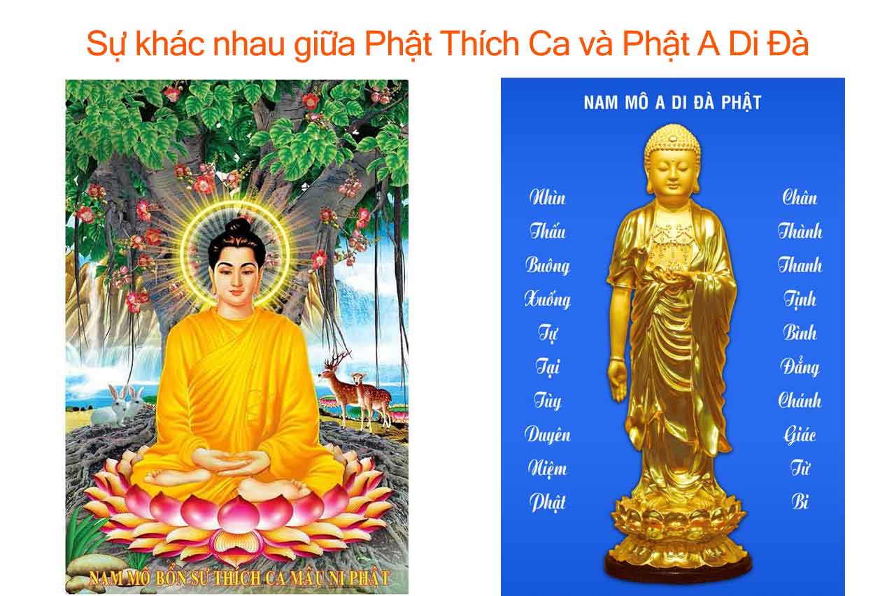 Cõi Phật A Di Đà: Niết bàn an lạc, thế giới cực lạc Gallery 1