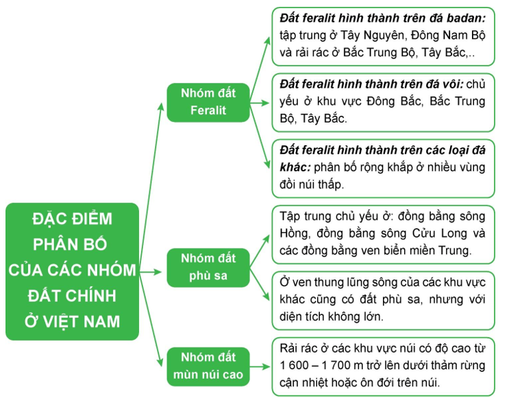 Đất Feralit ở đới nhiệt đới gió mùa chiếm diện tích lớn chủ yếu do tác động của Gallery 2