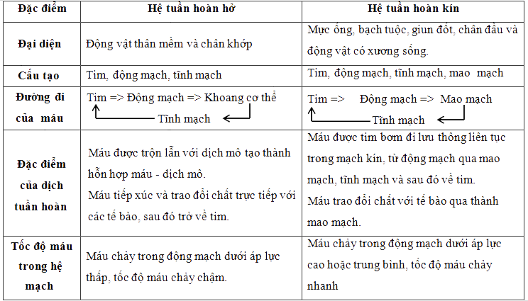 Đặc điểm của hệ tuần hoàn hở
