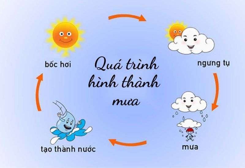 Giả Mù Sa Mưa Là Gì? Gallery 1