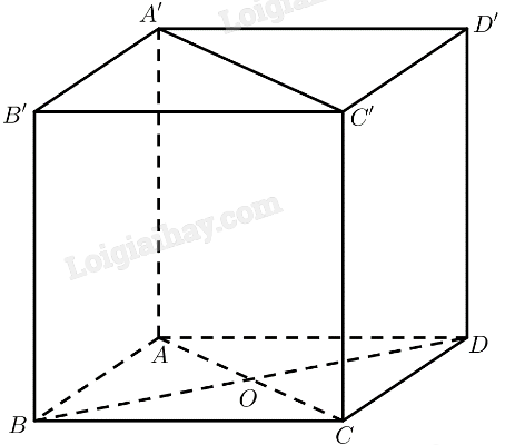 Hình hộp đứng có bao nhiêu mặt là hình chữ nhật? Gallery 1