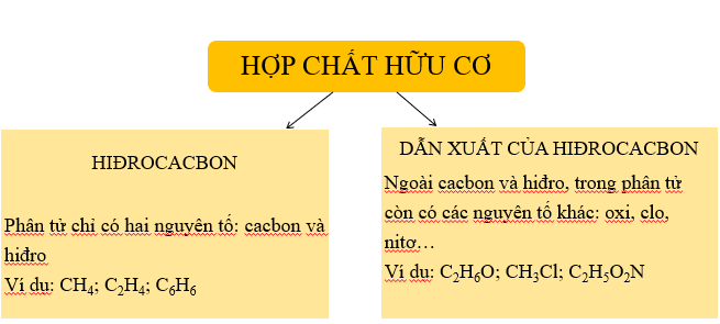 Hợp chất nào là hợp chất hữu cơ? Gallery 1