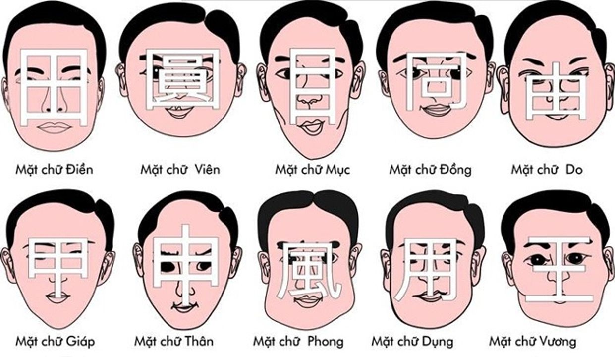 Bộ môn là gì? Gallery 2