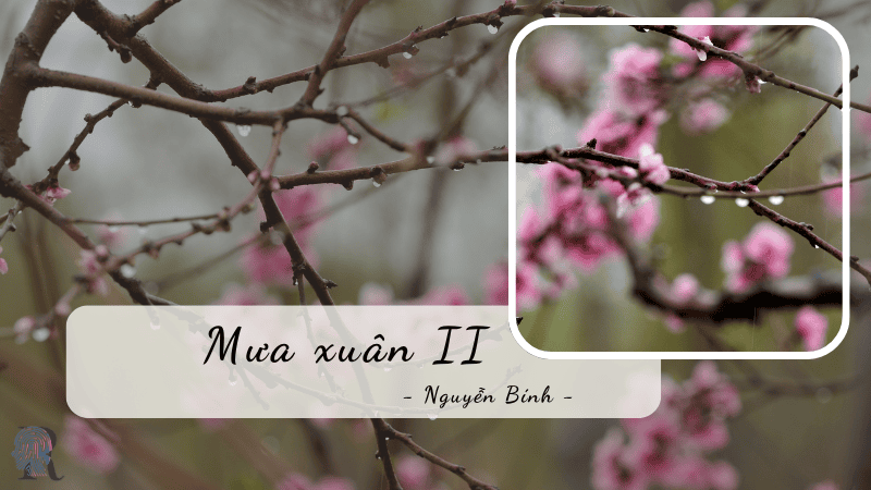 Mưa Xuân 2 Gallery 1