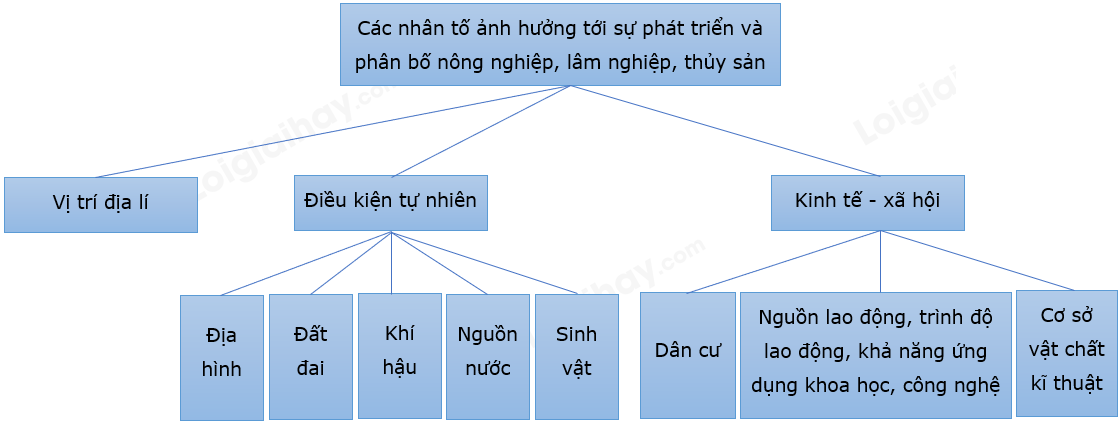 Đặc điểm ngành Nông nghiệp, Lâm nghiệp và Thủy sản Gallery 2