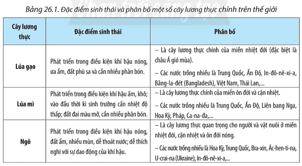 Đặc điểm ngành Nông nghiệp, Lâm nghiệp và Thủy sản Gallery 1