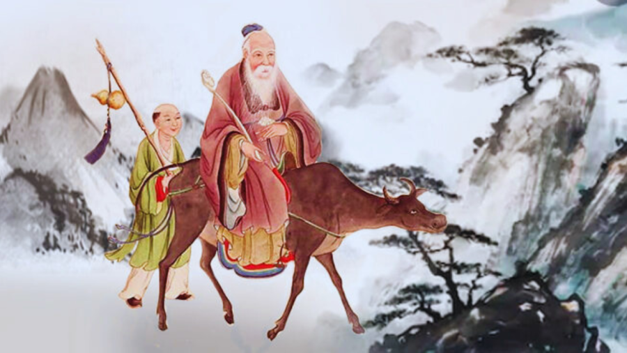 Bần nông là gì? Gallery 1
